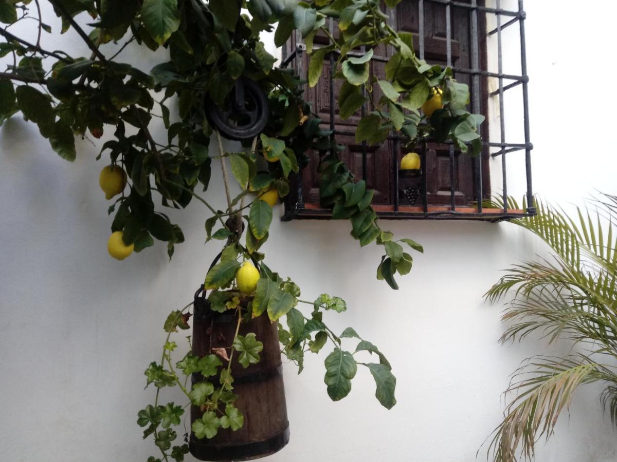 Fery & Nico Apartamento Granada Exterior foto